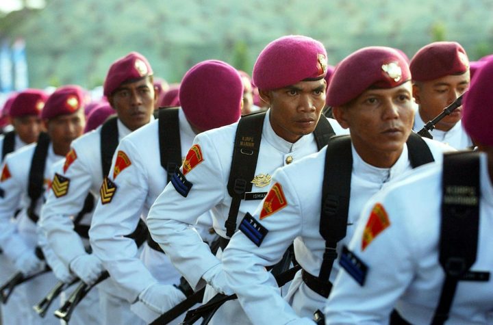 pasukan perdamaian dunia