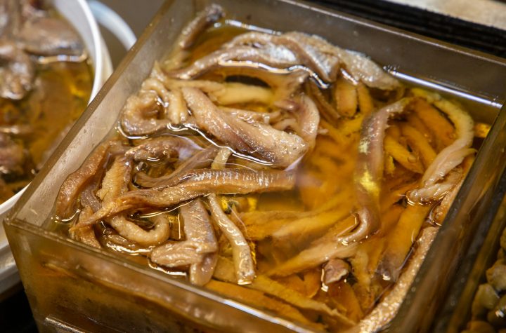 tips memasak usus ayam