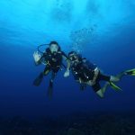 Tips Menyelam di Laut