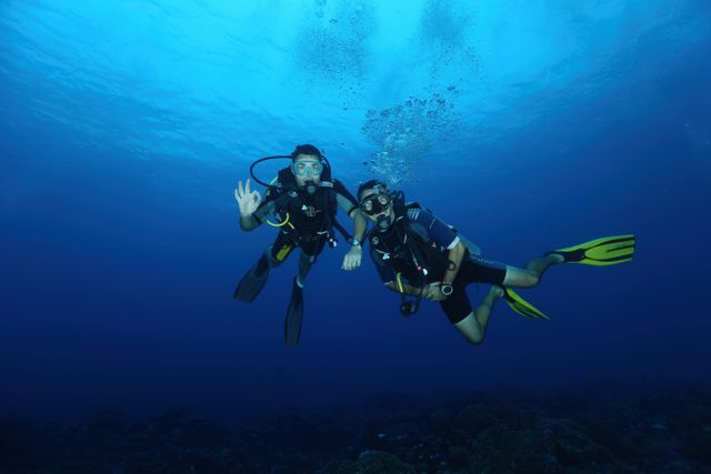 Tips Menyelam di Laut